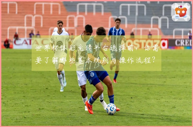 世界杯体彩竞猜平台选择前，你需要了解哪些基本规则与操作流程？
