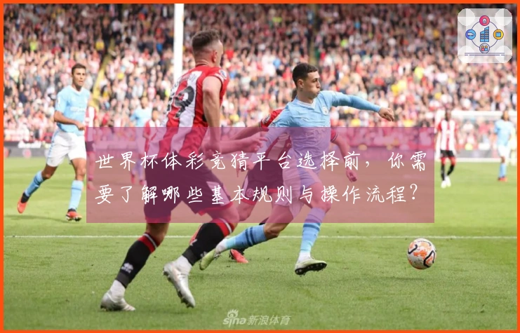 世界杯体彩竞猜平台选择前，你需要了解哪些基本规则与操作流程？