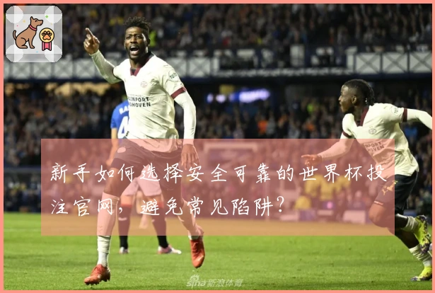 新手如何选择安全可靠的世界杯投注官网，避免常见陷阱？